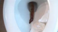 Image result for Really Long Poop