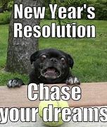 Image result for Hilarious Memes for New Year