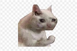 Image result for Sad Cat Meme Emoji