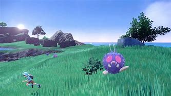 Image result for Nintendo Pokemon Y Game