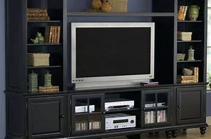 Image result for Biggest Big Screen TV Storage