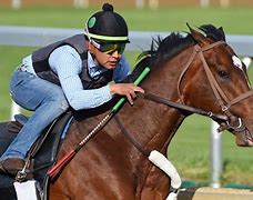 Image result for Raise Cain Racing Horse