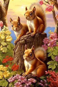 Pin by Cheryl Reed on "Momma was NUTS for Squirrels" in 2023 | Wild animals pictures, Cute animals, Cute creatures