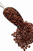 Image result for Coquillage Grain De Cafe