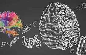 Image result for Brain Science in Education And