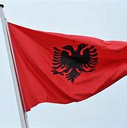 Image result for Albania Flag WW2