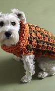 Image result for Small Dog Sweaters
