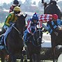 Image result for Steeplechase Horse Falls in Race