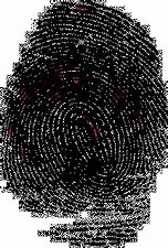 Image result for Capacitive Fingerprint