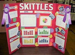 Image result for 7 Grade Science Fair Projects