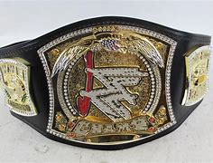 Image result for WWE John Cena's Belts United States Championship