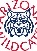Image result for University of Arizona Logo Transparent