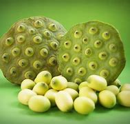 Image result for Lotus Pod Photoshop