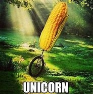 Image result for Real Baby Unicorn Meme