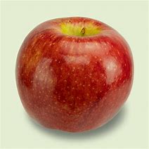 Image result for Washington Apple Varieties