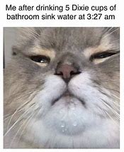 Image result for Cat Drinking Water Meme