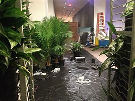 Image result for TV Console Side Plants