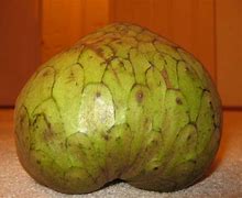 Image result for Jamaican Custard Apple Fruit