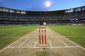 Image result for Cricket Ground Pitch