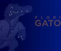 Image result for Florida Gators Women's Soccer