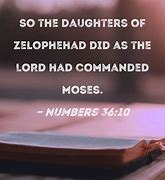 Image result for Numbers 36 Bible