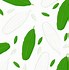 Image result for Banana Leaf SVG