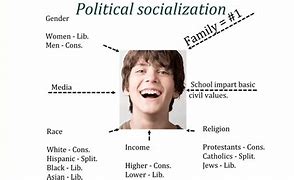 Image result for Political Socialization
