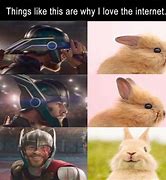 Image result for Thor Bunny Meme