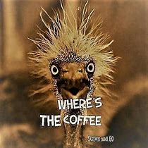 Image result for Caffeine MEME Funny
