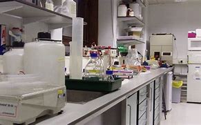 Image result for PCR Laboratory