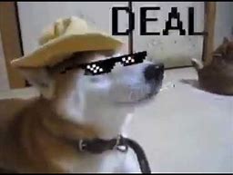 Image result for Deal with It Meme for YouTube Bannel