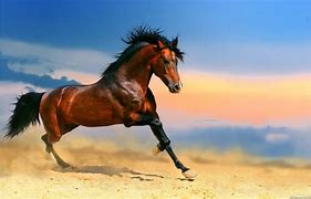 Image result for Horse HD Wallpaper for Mobile