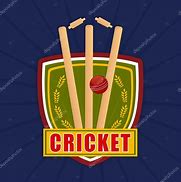 Image result for Objects for Cricket Academy