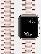 Image result for Stainless Steel Apple Watch Colors