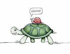 Image result for Slow and Steady Turtle Meme