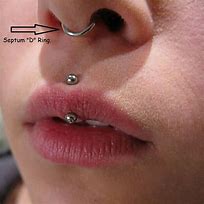 Image result for 16G Septum Ring