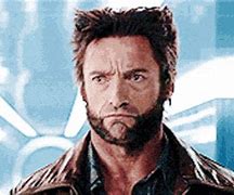 Image result for Wolverine Funny
