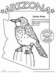 Image result for Arizona State Bird Coloring Page