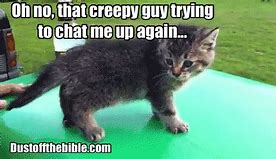 Image result for Goodbye Funny Cat Meme
