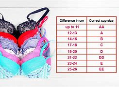 Image result for Bra Cup Size Differences