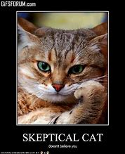 Image result for Skeptical Animals