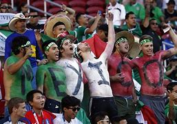 Image result for Soccer Fans