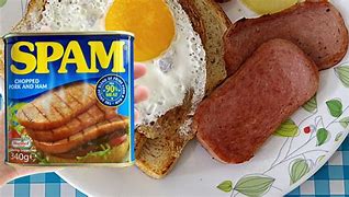 Image result for Spam Breakfast