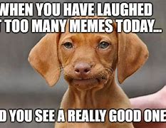 Image result for Too Many Memes