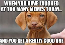 Image result for Too Many Memes