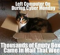 Image result for Cyber Monday Cat Meme