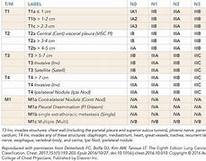 Image result for Lung Staging 4R