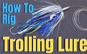 Image result for Bait Fishing Lures