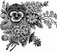 Image result for Spring Flowers Black and White