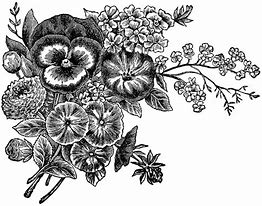 Image result for Flower Face Clip Art Black and White